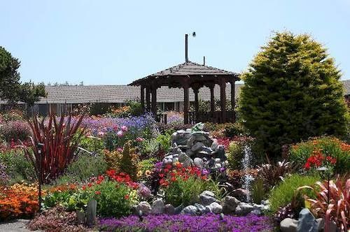 פורט בראג Surf Motel And Gardens מראה חיצוני תמונה